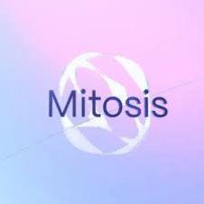 MITO 是什么币？代币供应如何分配？