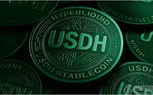 稳定币USDH制度路线之争：决定Hyperliquid未来叙事