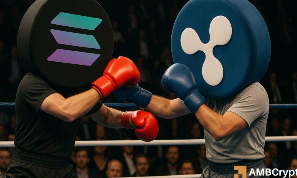 SOL 加密金库势头强劲，但足以在第四季度超越 XRP 吗？