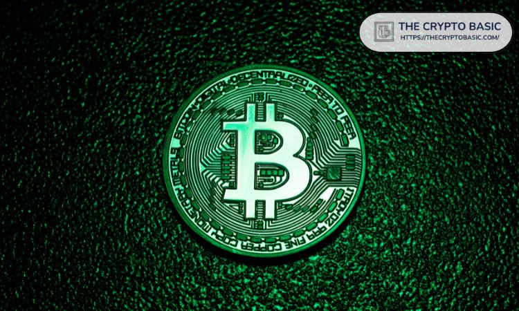 Canary Capital 首席执行官表示，比特币今年达到 15 万美元的可能性超过 50%