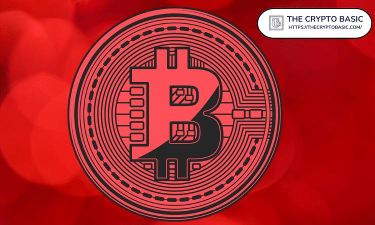 这就是为什么比特币今天创下历史新高却回调了 4%