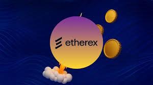 REX 代币：Etherex 如何激励流动性与治理？