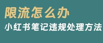 发小红书没人赞会怎样