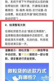 微粒贷可以提前还一部分吗