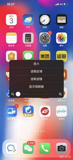 苹果手机变成黑白了怎么恢复彩色