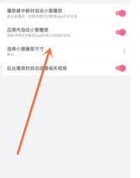 哔哩哔哩如何调整切换应用小窗播放大小