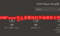 GOMPlayer怎么设置仅打开选择的文件
