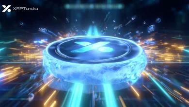 XRP Tundra 预售为快速创造财富带来机遇，Sui 加密社区一片沸腾