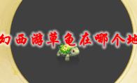 梦幻西游 草龟在哪个地图