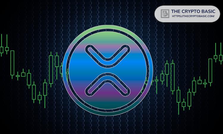做空 XRP 的顶级交易员现已损失数百万美元