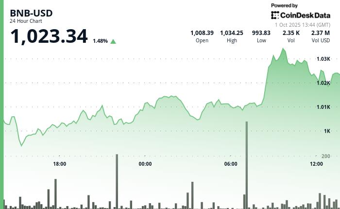 X账户被黑客入侵后，社区团结一致，BNB价格小幅上涨