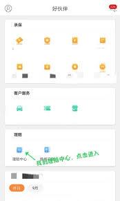平安好伙伴app如何进行定损