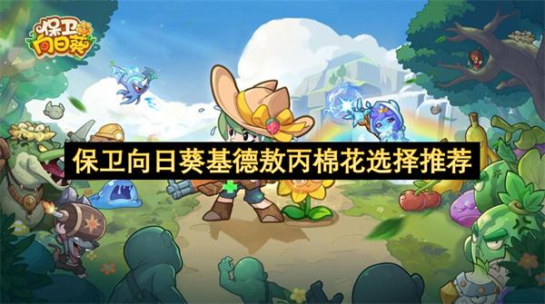 保卫向日葵基德敖丙棉花培养选择推荐