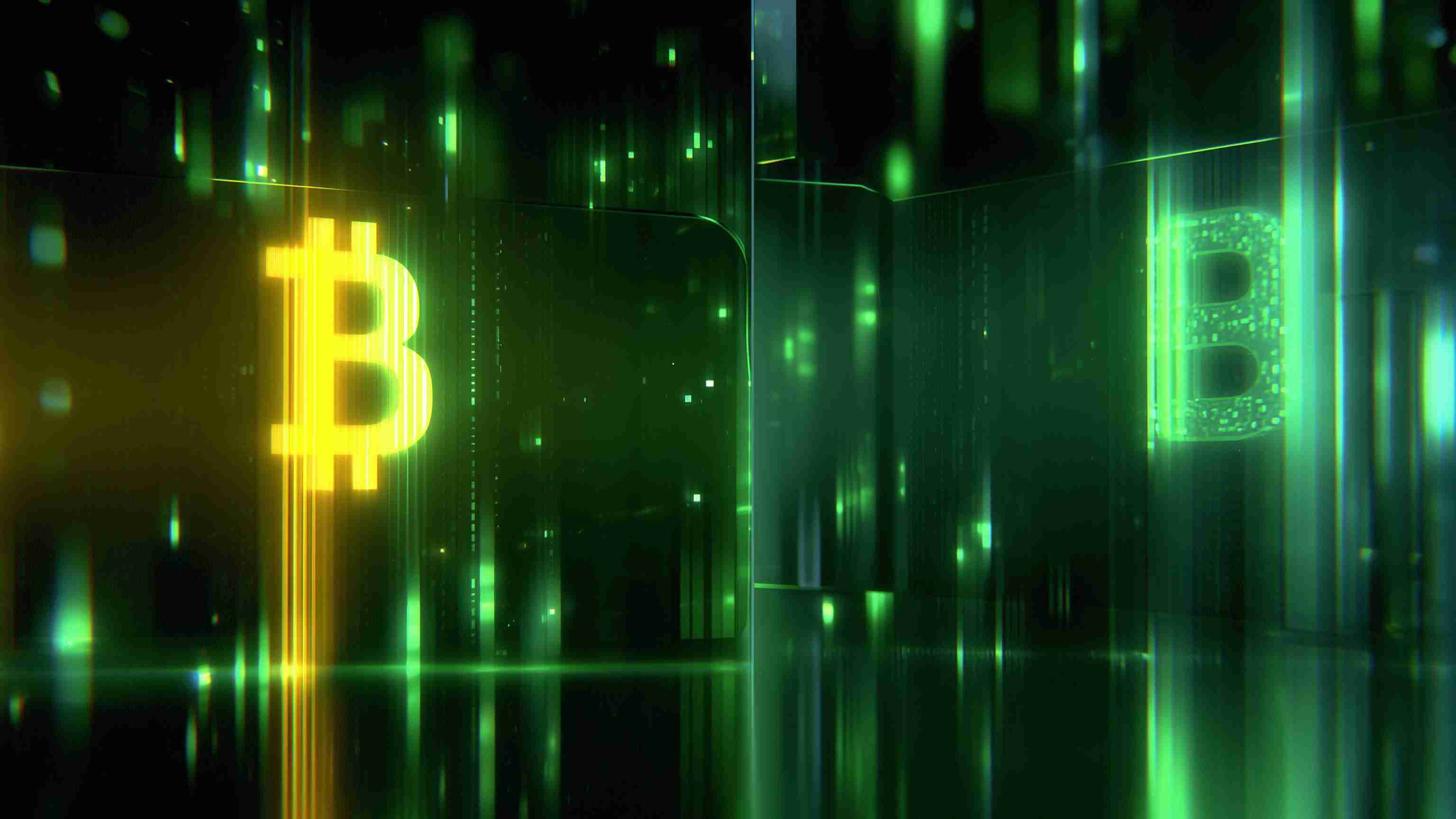 数字资产国库：比特币的机构测试案例