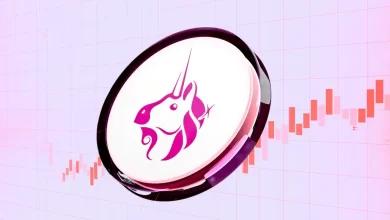 Uniswap 向 Brevis 提供 900 万美元 Gas 返利