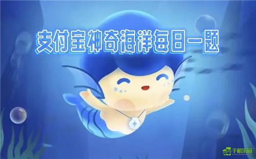 蚂蚁森林神奇海洋2025年10月28日答案