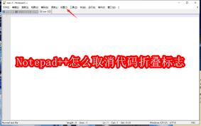 Notepad如何取消代码折叠标志