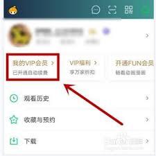 如何取消爱奇艺奇巴布自动续费