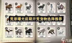 荒原曙光开荒选什么宠物
