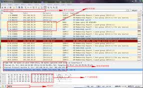 wireshark怎么更改语言