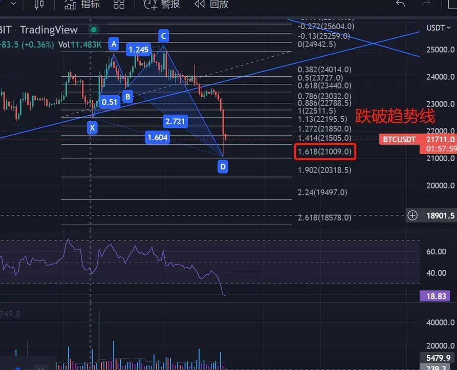 现货比特币ETF为何结束连续四周资金流出 本周流入7000万美元意味着什么