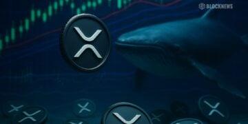 2.5亿枚XRP从流通中撤出，买家纷纷入场——这对XRP的下一步走势意味着什么