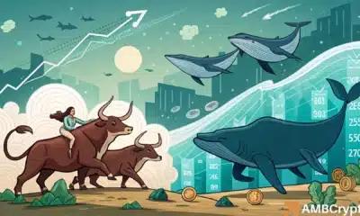 Ethena Labs 削减了 ENA 的交易所供应量——0.30 美元的重新测试仅在以下情况下可能……