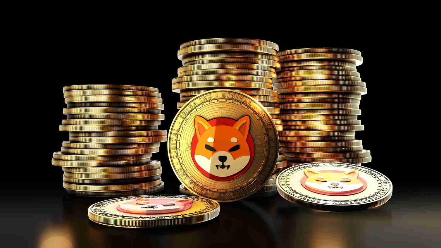 SHIB公司是否正在走向崩溃 工程经理离职的惊人原因及原因解析