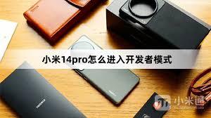 如何进入小米14pro开发者模式
