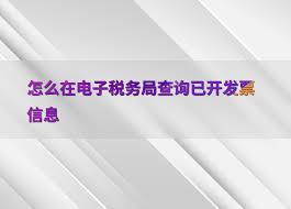 如何在电子税务局查询已开发票