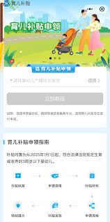 2025育儿补贴申请入口官网在哪