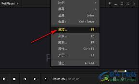 PotPlayer如何设置自动选择语言