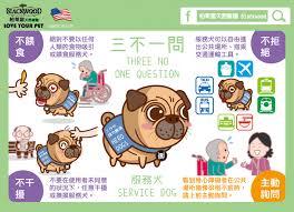 服务犬驯养师训练的犬种范畴有哪些