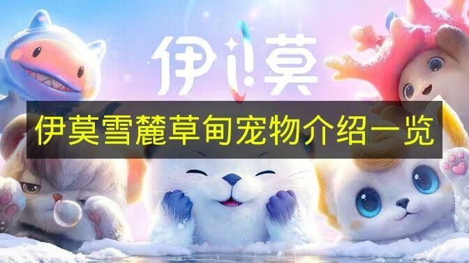 伊莫 雪麓草甸宠物介绍一览
