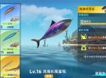 钓鱼巨物猎手鱼饵核心机制与使用策略