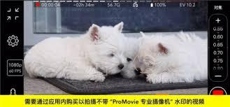 promovie如何进行镜像